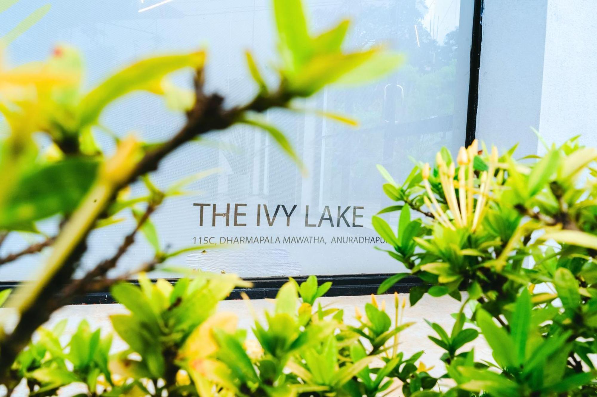 The Ivy Lake 阿努拉德普勒 外观 照片